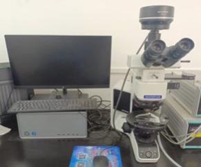 新香港六合彩资料