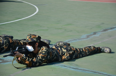 新香港六合彩资料