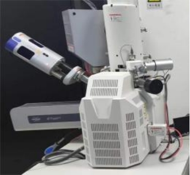 新香港六合彩资料