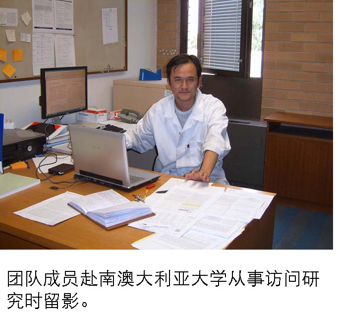 新香港六合彩资料